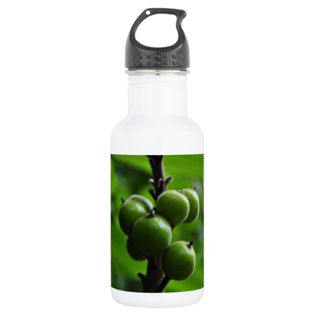 Fresh Green Nature 532 Ml Water Bottle (Front)