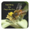 Fresh Honey Bee Hive Square Labels