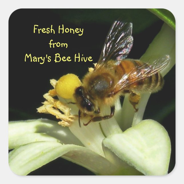 Fresh Honey Bee Hive Square Labels (Front)