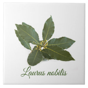 Fresh laurel leaves tile