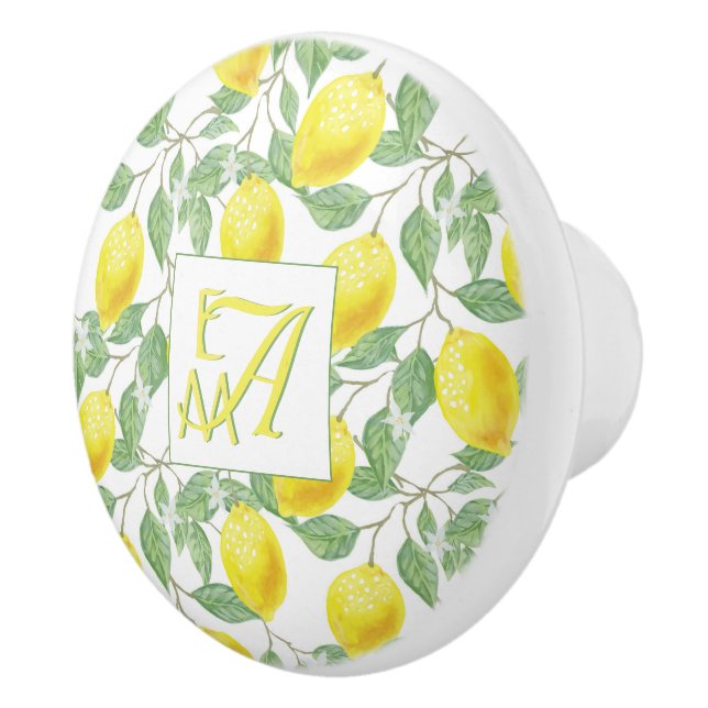Fresh Lemon Tree Monogrammed Decor Gifts Newlyweds Ceramic Knob (Right)