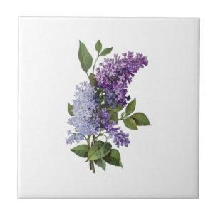 Fresh Lilacs - French Country Home Decor Tile
