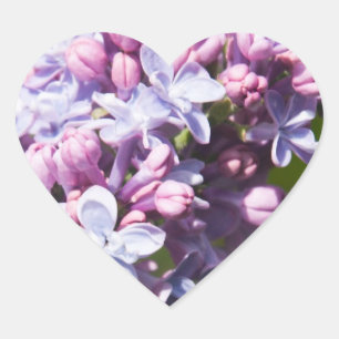Fresh Lilacs Heart Sticker