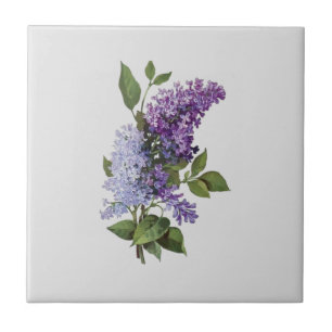 Fresh Lilacs on grey - French Country Home Decor Tile