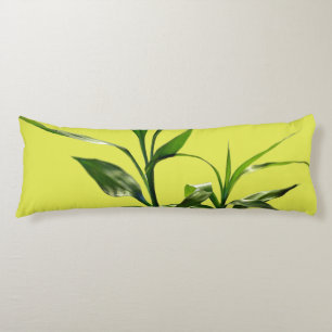 Fresh lucky bamboo green leaves in green body pillow