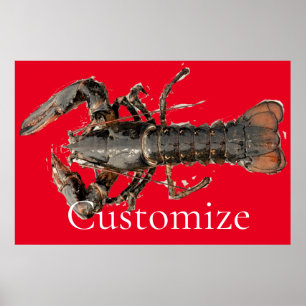 Fresh Maine Lobster Thunder_Cove  Poster