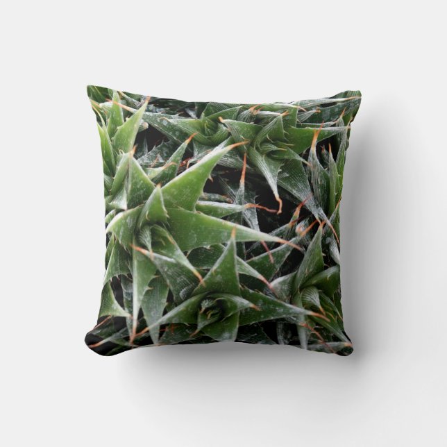 Fresh Mood Throw Cushion (Front)