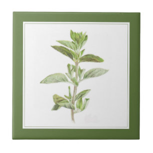 FRESH OREGANO 4.25 Ceramic Tile (-text) Green
