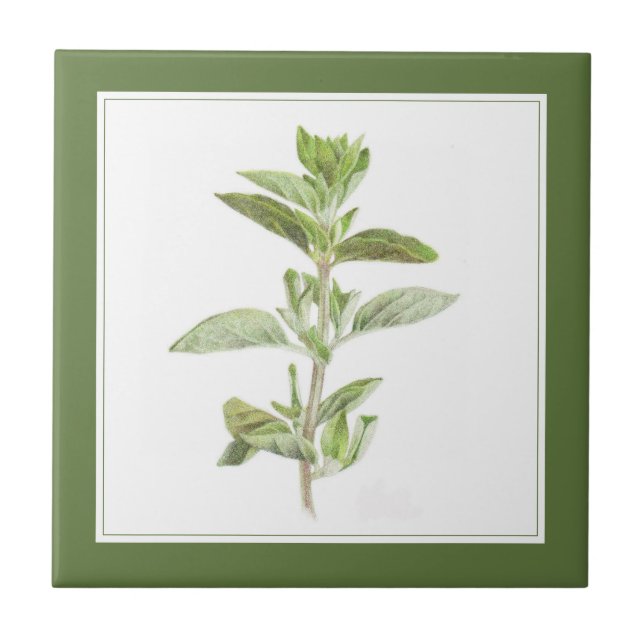 FRESH OREGANO 4.25 Ceramic Tile (-text) Green (Front)