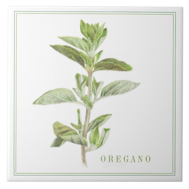 FRESH OREGANO 6x6 Ceramic Tile (+text) (Front)