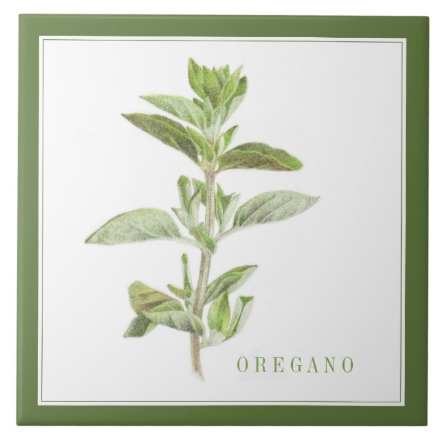 FRESH OREGANO 6x6 Ceramic Tile (+text) Green (Front)