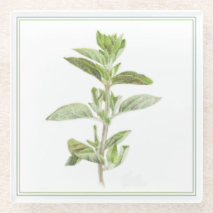 FRESH OREGANO Glass Beverage Coaster (-text)