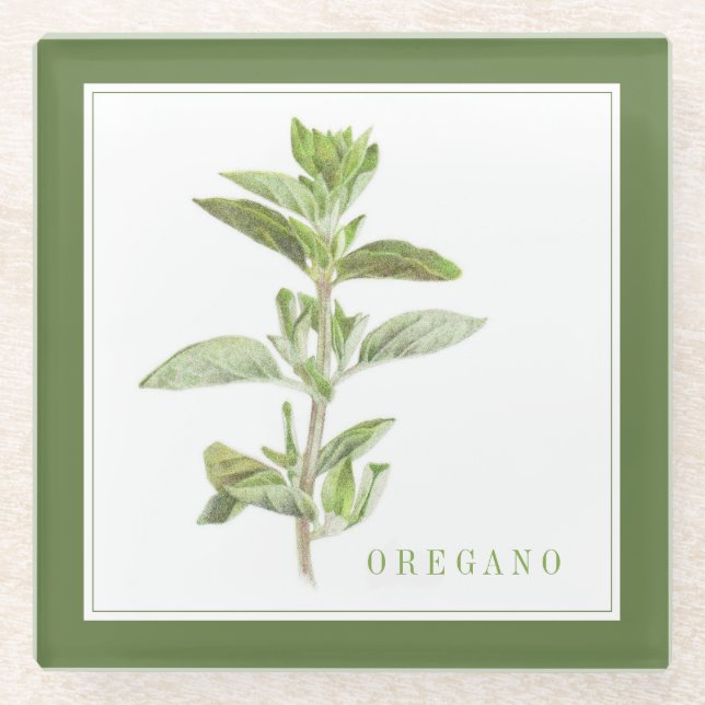 FRESH OREGANO Glass Beverage Coaster (+text) Green (Front)