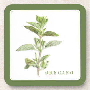 FRESH OREGANO Hard Plastic Coasters (+text) Green