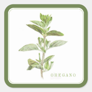 FRESH OREGANO Large Square Stickers - Green