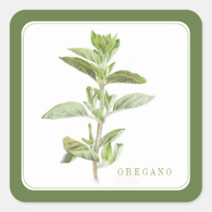 FRESH OREGANO Small Square Stickers (+text) Green