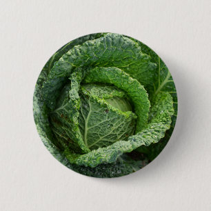 Fresh Organic Cabbage Head 2 Inch Round Button
