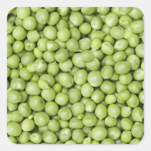 Fresh organic peas 2 square sticker