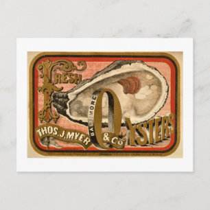 Fresh Oysters Vintage Baltimore Ad circa 1870 Postcard