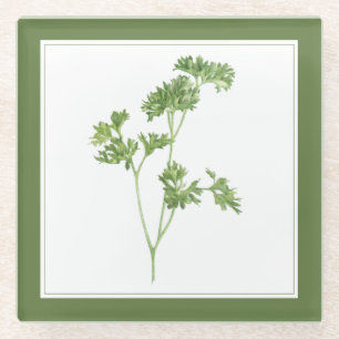 FRESH PARSLEY Glass Beverage Coaster (-text) Green