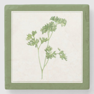 FRESH PARSLEY Marble Stone Coaster (-text) Green