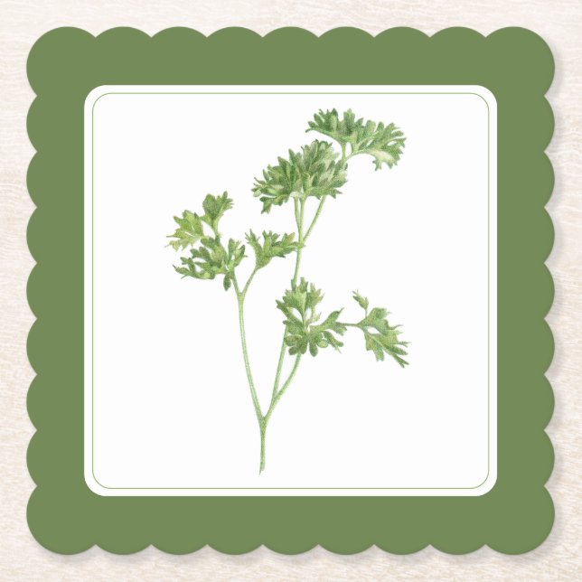 FRESH PARSLEY Scallop Square Coaster (-text) Green (Front)