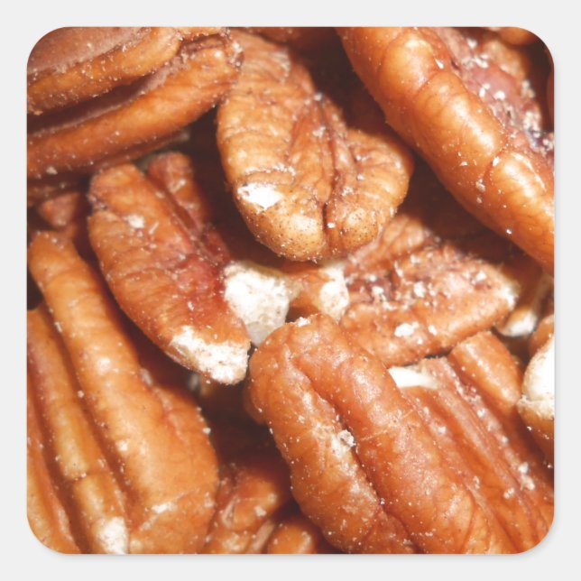 Fresh Pecans Square Sticker (Front)