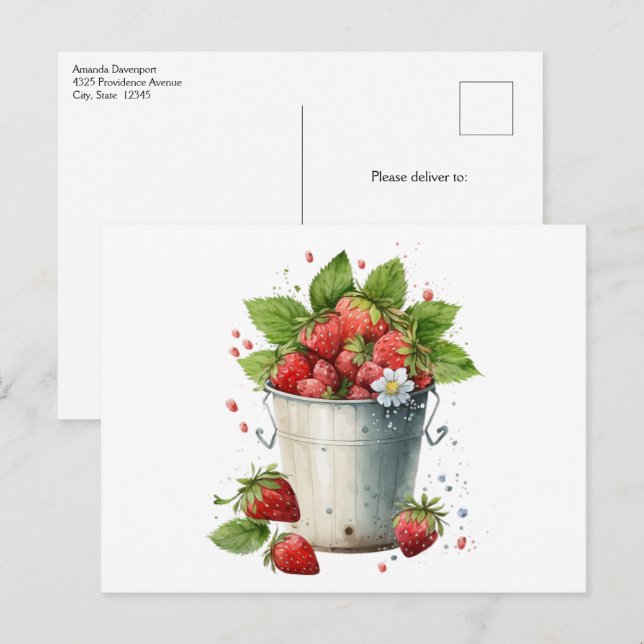 Fresh Picked Strawberries in a Bucket Postcard (Front/Back)