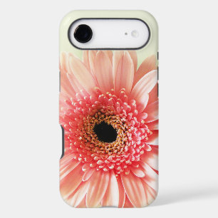Fresh Pink Gerbera Daisy Photograph