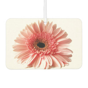 Fresh Pink Gerbera Daisy Photograph Air Freshener