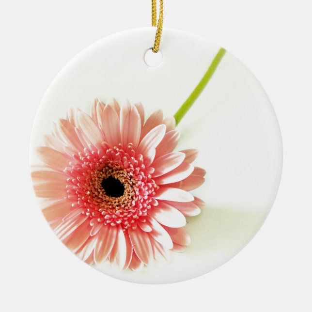 Fresh Pink Gerbera Daisy Photograph Ceramic Ornament (Front)