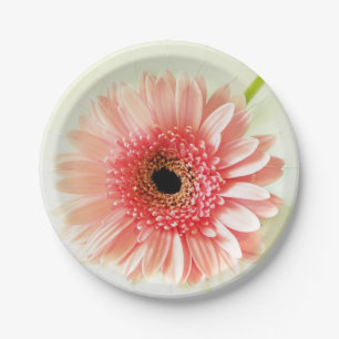 Fresh Pink Gerbera Daisy Photograph Paper Plate