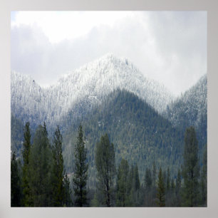 Fresh powdered snow..... poster