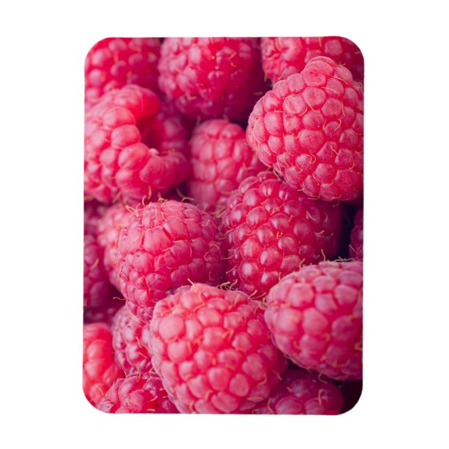 Fresh raspberries magnet (Vertical)