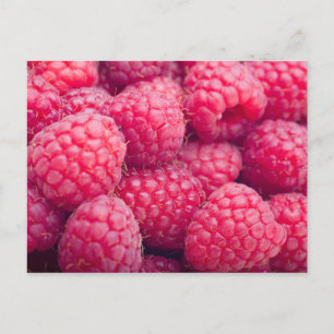 Fresh raspberries postcard