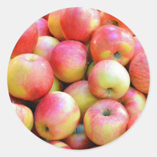 Fresh red and yellow apples classic round sticker