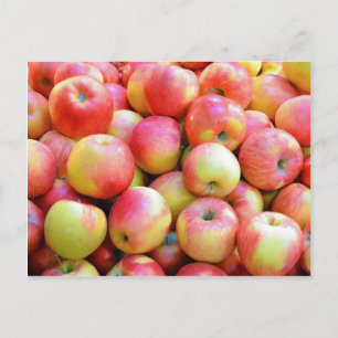Fresh red and yellow apples postcard