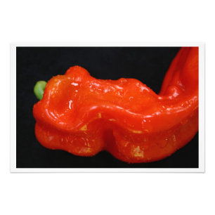 Fresh Red Bell Pepper Photo Print