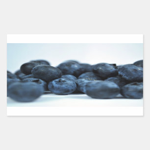Fresh Ripe Blueberries Sticker