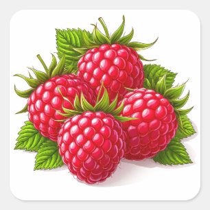 Fresh Ripe Raspberries with Green Leaves Square Sticker