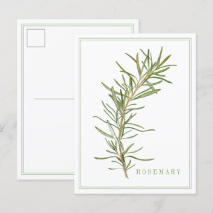 FRESH ROSEMARY Postcard