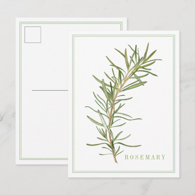 FRESH ROSEMARY Postcard (Front/Back)