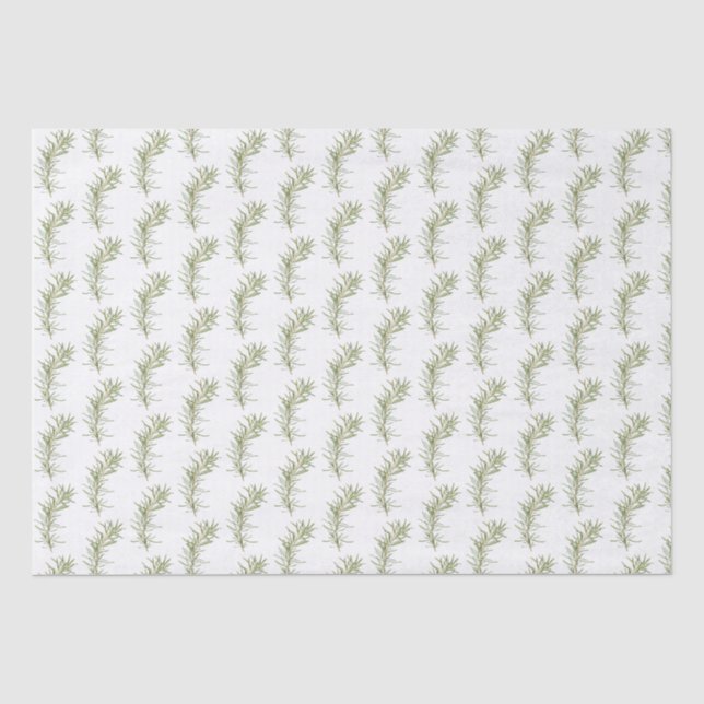 FRESH ROSEMARY Tissue Paper (Front)