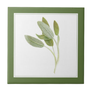 FRESH SAGE 4.25x4.25 Ceramic Tile (-text) Green