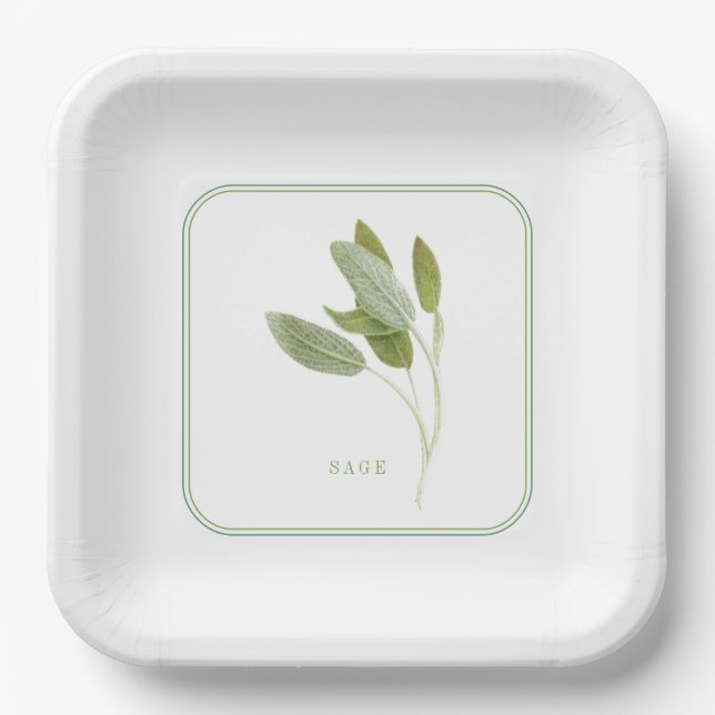 FRESH SAGE 9" Square Paper Plates (Front)