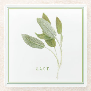 FRESH SAGE Glass Beverage Coaster (+text)