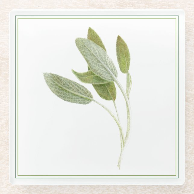 FRESH SAGE Glass Beverage Coaster (-text) (Front)
