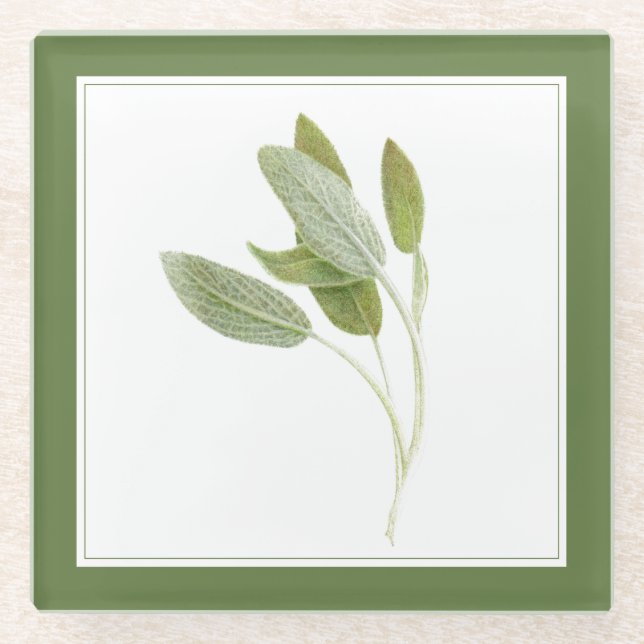 FRESH SAGE Glass Beverage Coaster (-text) Green (Front)