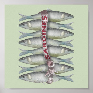 Fresh Sardines Poster