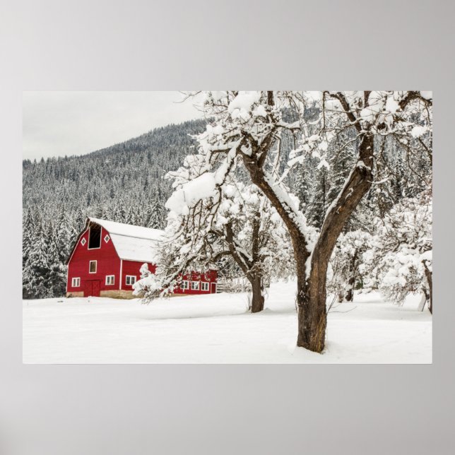 Fresh snow on red barn poster (Front)